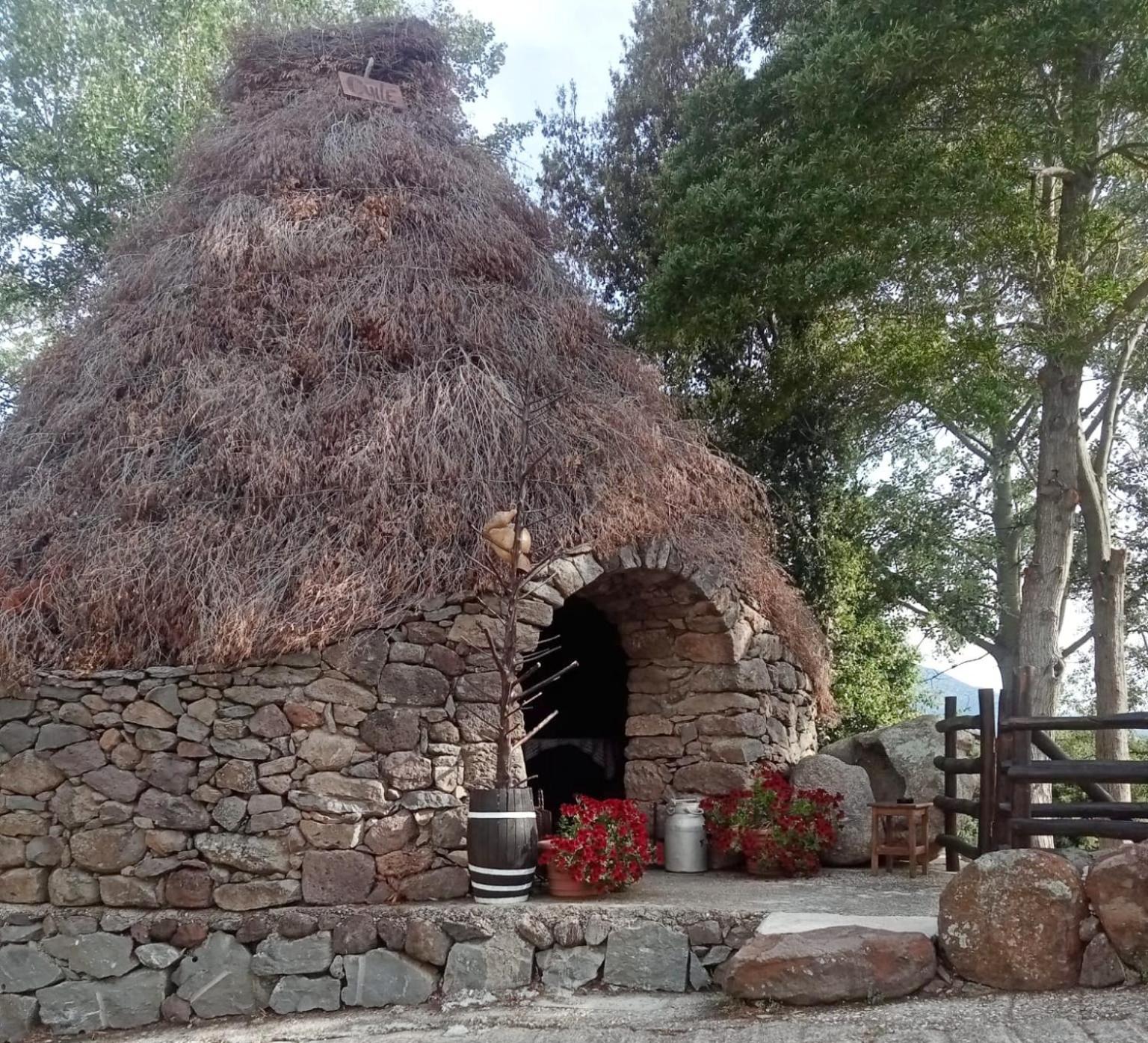 B&B Littu Cala Gonone Exterior foto