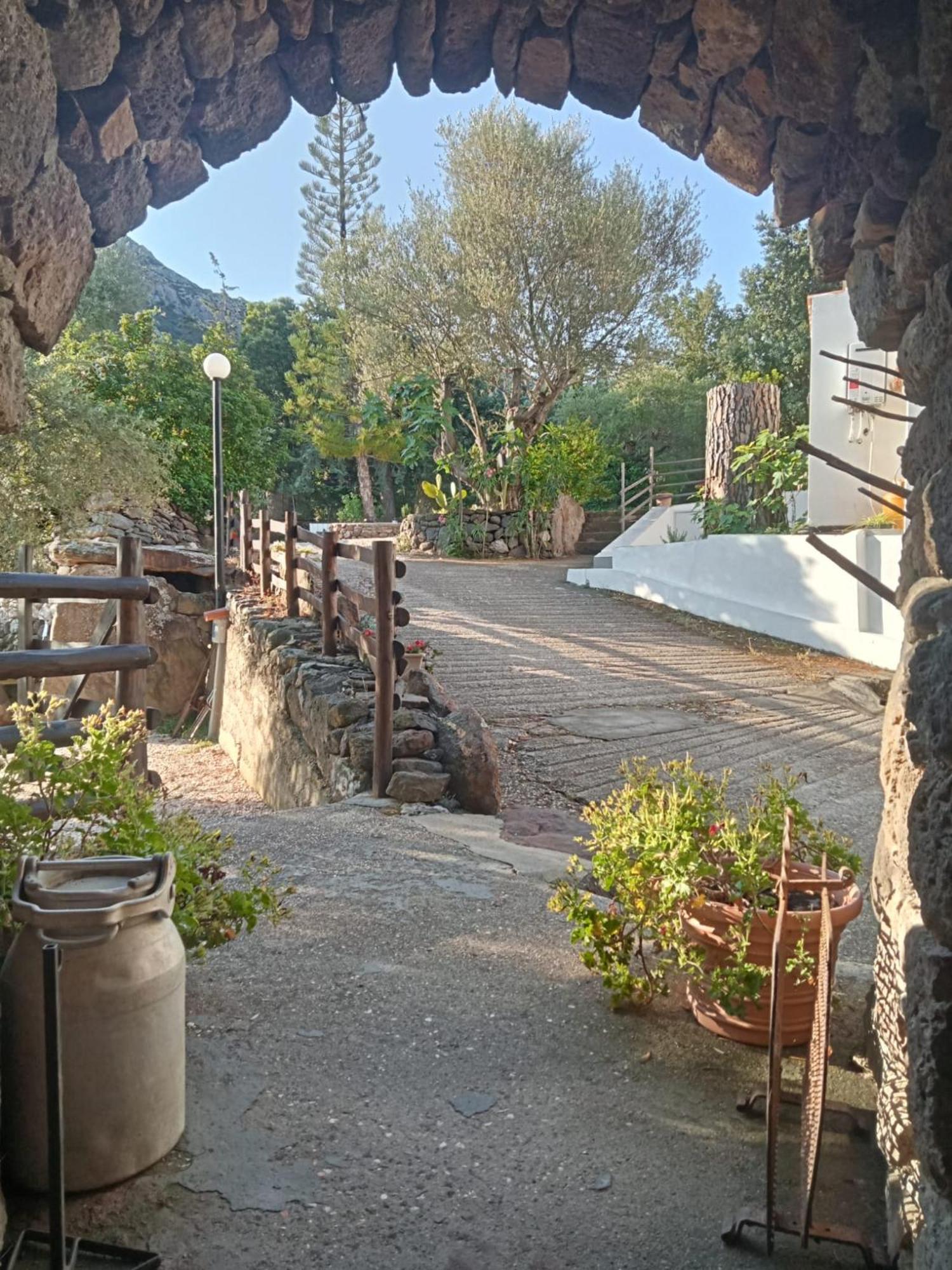 B&B Littu Cala Gonone Exterior foto